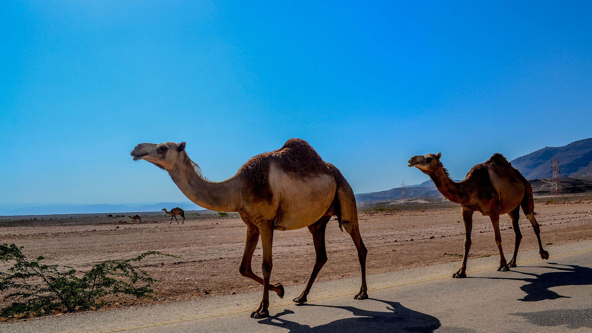 Oman Visa Requirements for Ukraine Citizens | Oman e-Visa